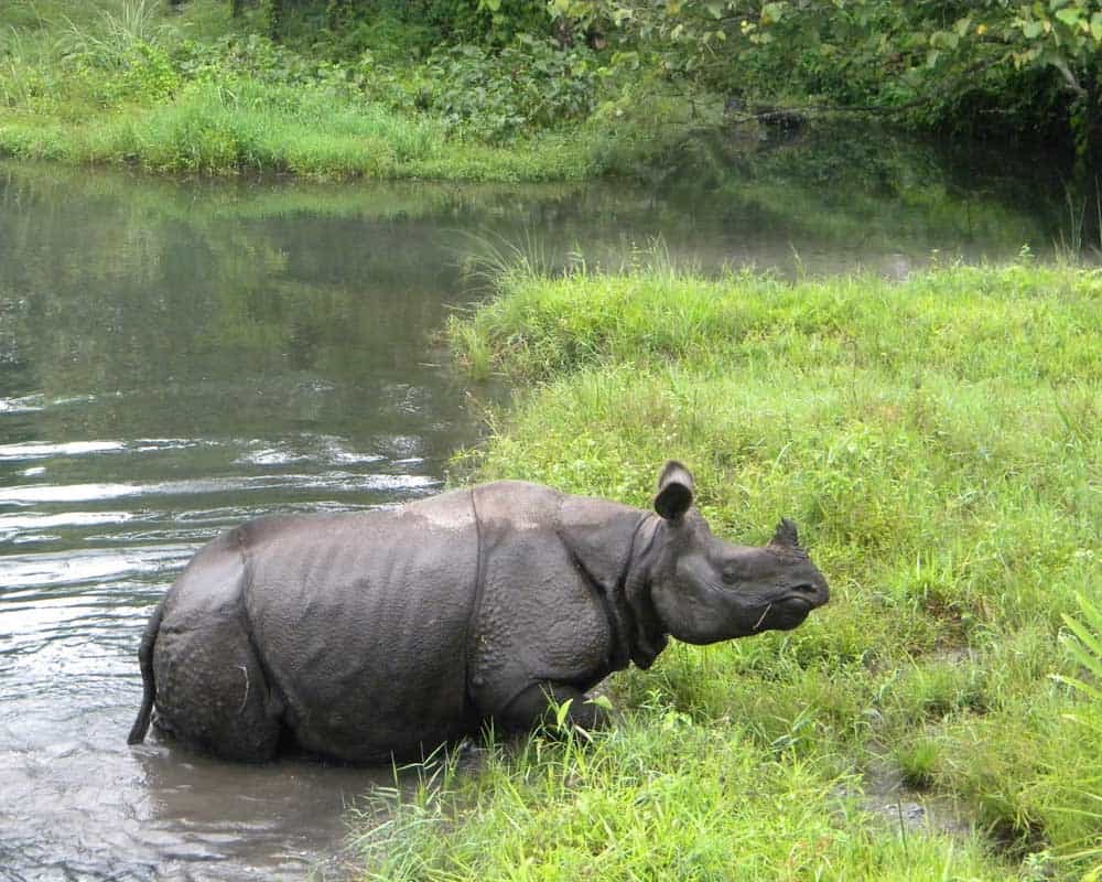 05 Days Dooars Tours