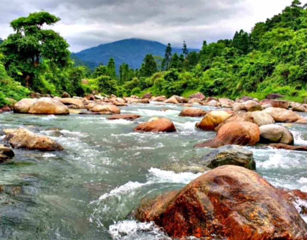 Dooars Tour - 06 Days