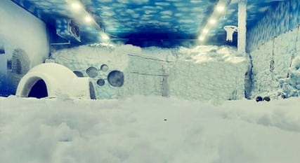 Snow Park - Axis Mall (Kolkata)